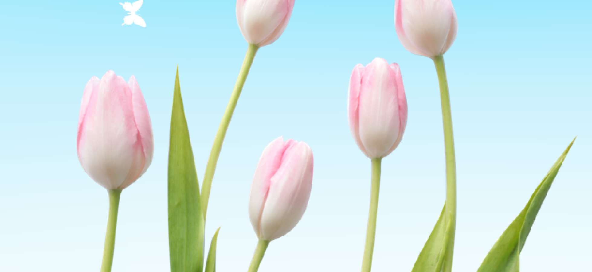 訪問看護ステーション のぞみ（関係機関用）